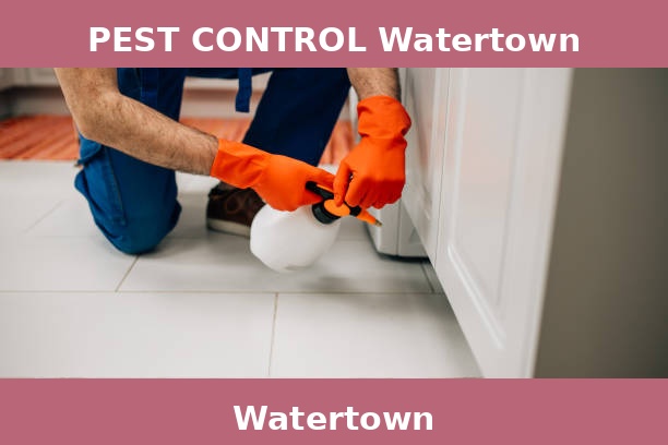 PEST CONTROL Watertown